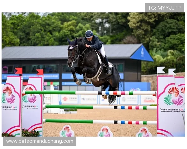 澳门赛马每日比赛时间安排及赛程变化最新资讯 澳门赛马每日比赛时间安排及赛程变化最新资讯