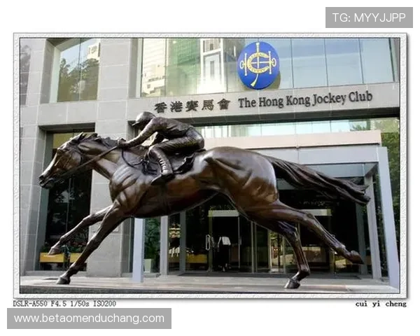 hkjc中文站：深入解析香港赛马会中文站的会员服务与赛事通知功能