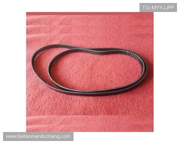 PA现金下载安全验证流程详解确保你的账户信息安全与资金安全同步保障