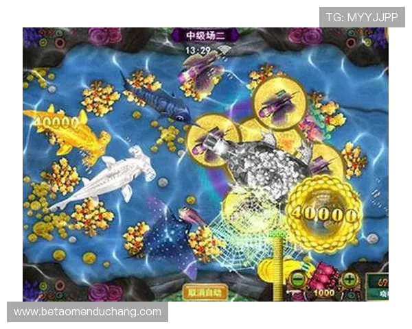 丰富奖励真人街机捕鱼官网手机版,为玩家提供丰厚的福利活动 丰富奖励真人街机捕鱼官网手机版,为玩家提供丰厚的福利活动