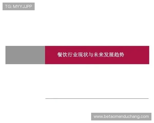 汇彩控股有限公司多元化业务布局与未来发展战略分析