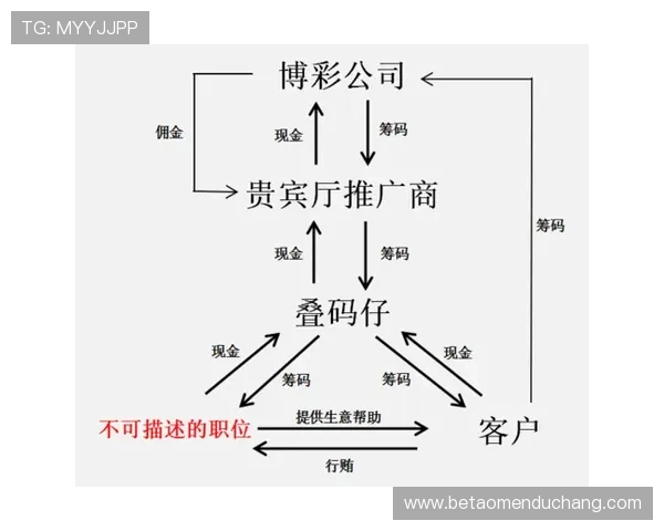 澳门十大博彩平台排名揭秘，选择信誉度最高的博彩平台
